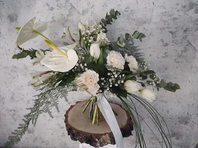 Kwiaciarnia Kwiat Paproci